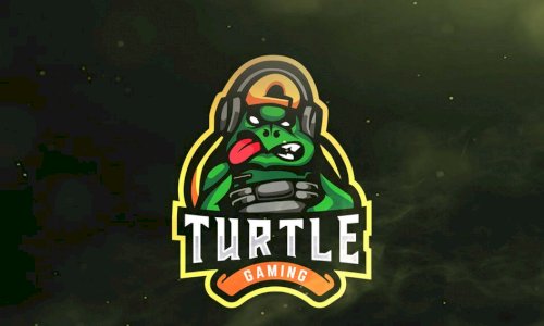 Logo turtle